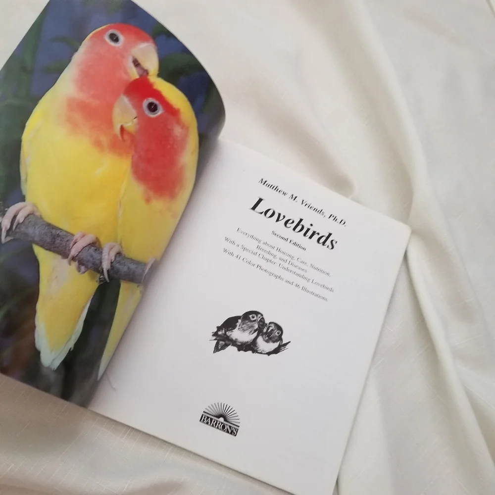 - 🐦Lovebird Book💙